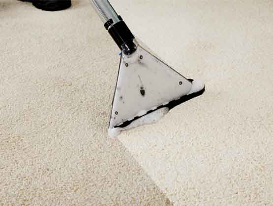 Experienced Carpet Cleaners